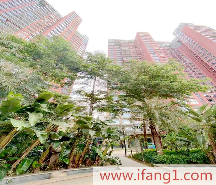 龍崗最新小產權房