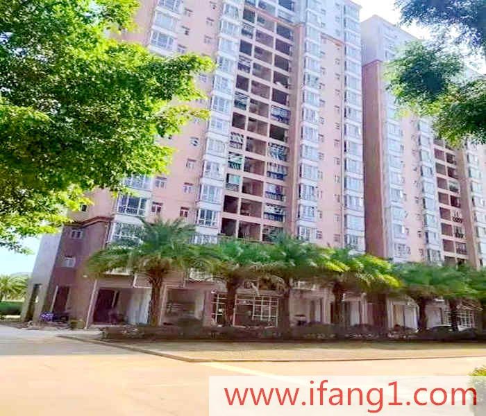 坪山村委統建樓